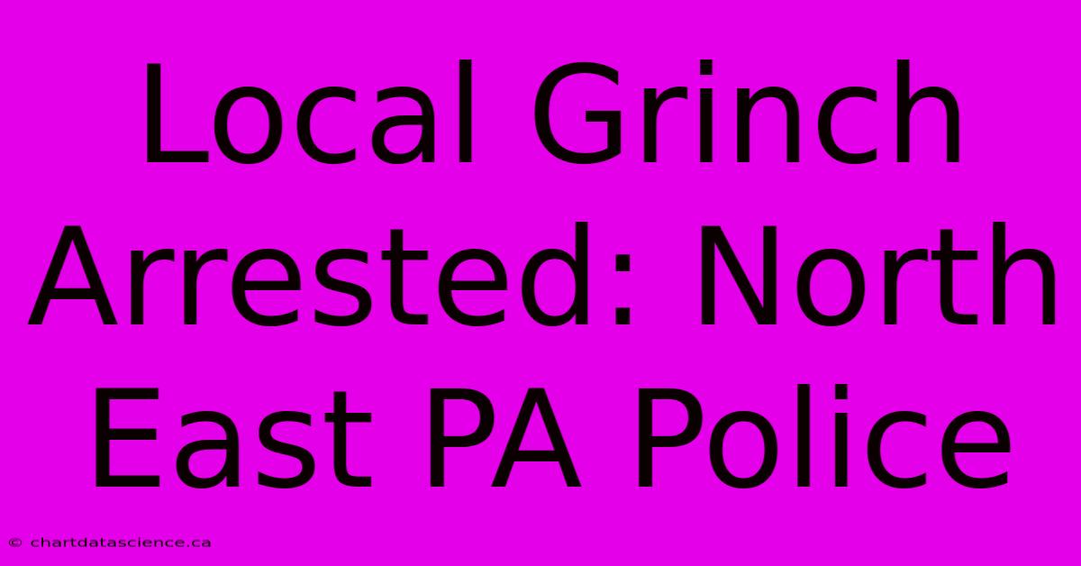 Local Grinch Arrested: North East PA Police