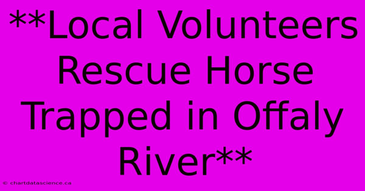 **Local Volunteers Rescue Horse Trapped In Offaly River**