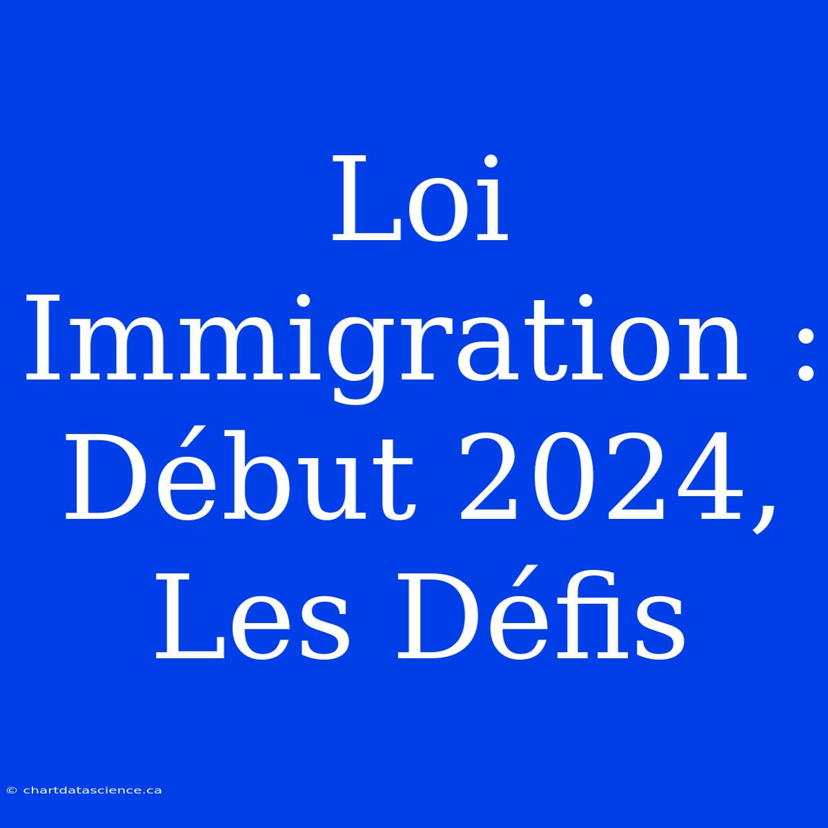 Loi Immigration : Début 2024, Les Défis