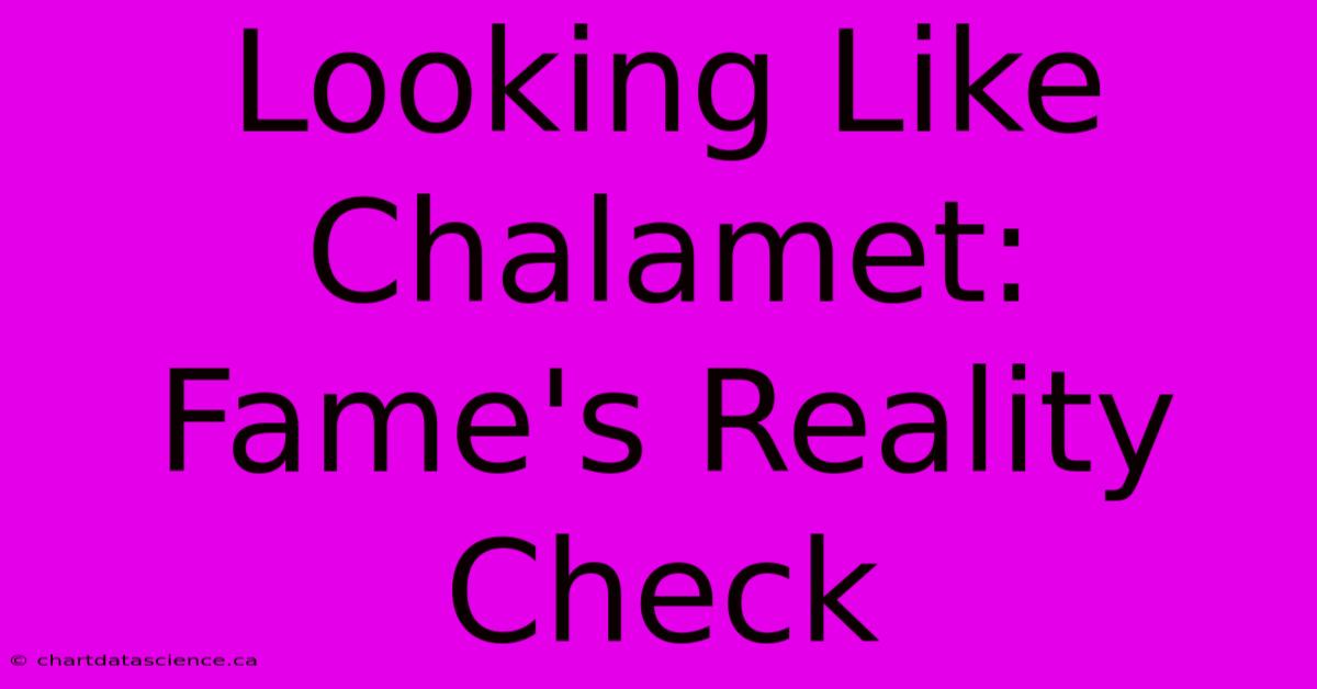 Looking Like Chalamet: Fame's Reality Check