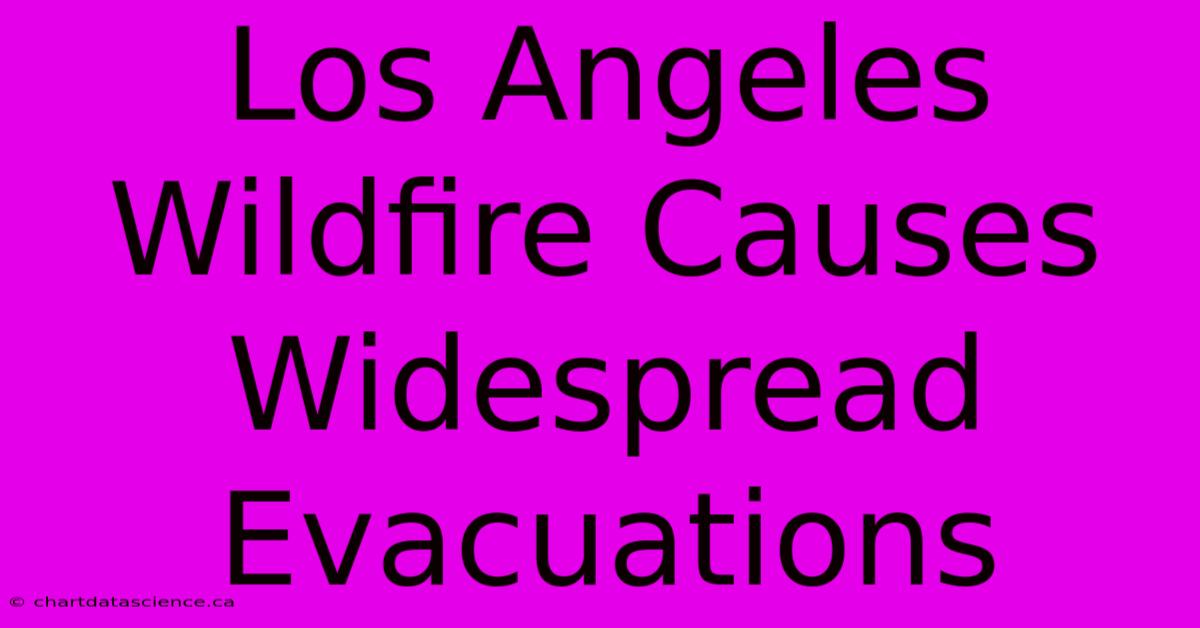 Los Angeles Wildfire Causes Widespread Evacuations