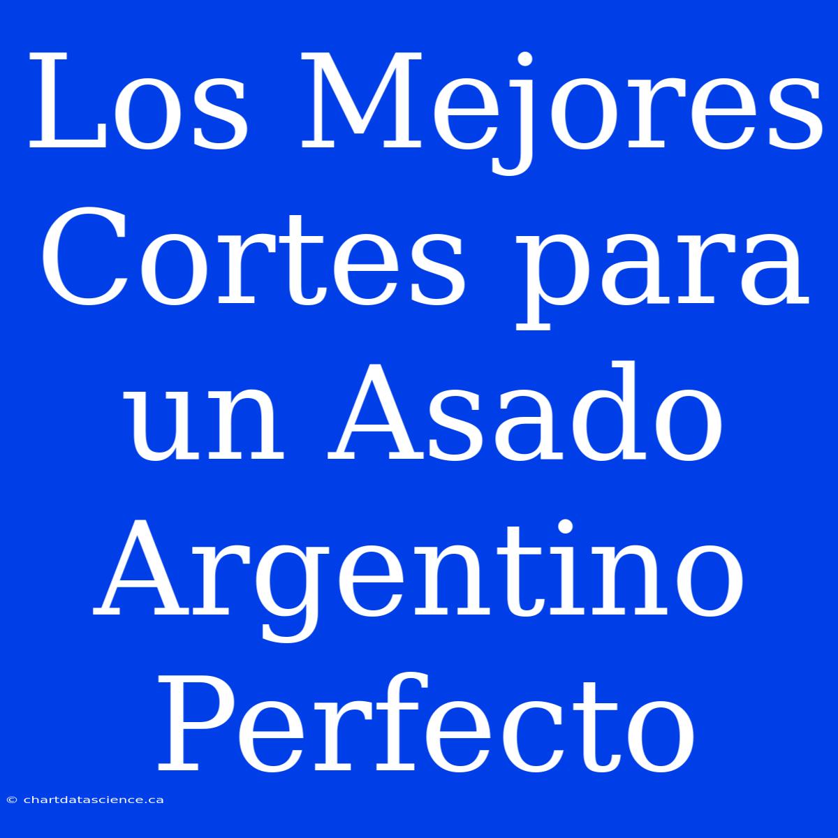 Los Mejores Cortes Para Un Asado Argentino Perfecto