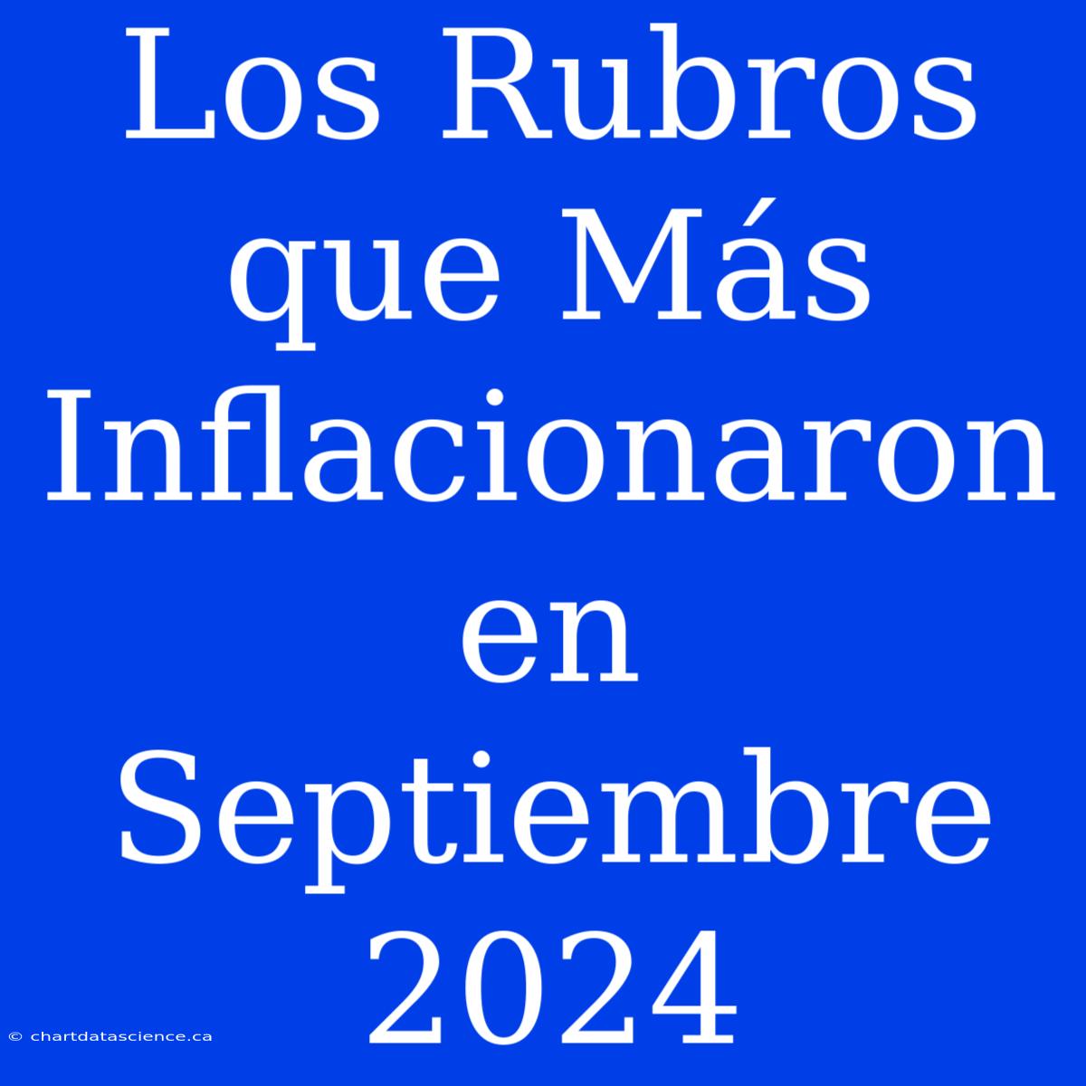 Los Rubros Que Más Inflacionaron En Septiembre 2024