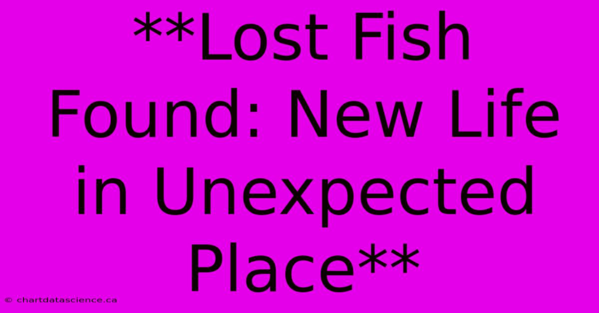 **Lost Fish Found: New Life In Unexpected Place** 