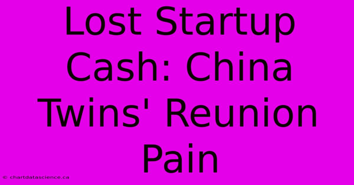 Lost Startup Cash: China Twins' Reunion Pain