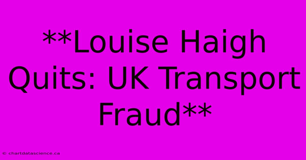 **Louise Haigh Quits: UK Transport Fraud**