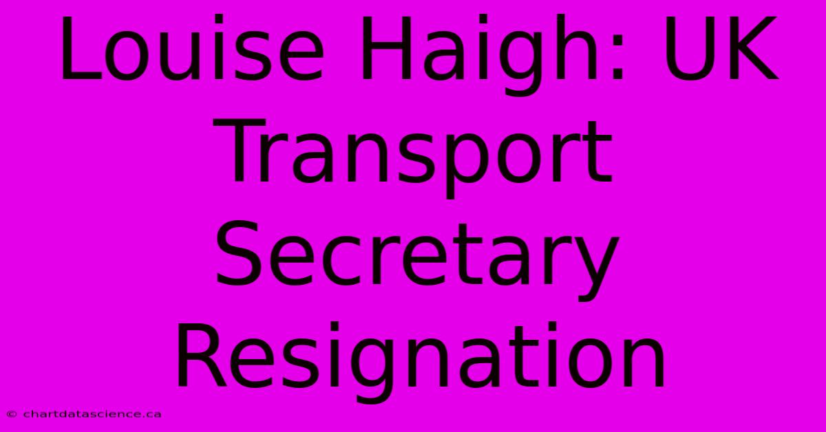 Louise Haigh: UK Transport Secretary Resignation