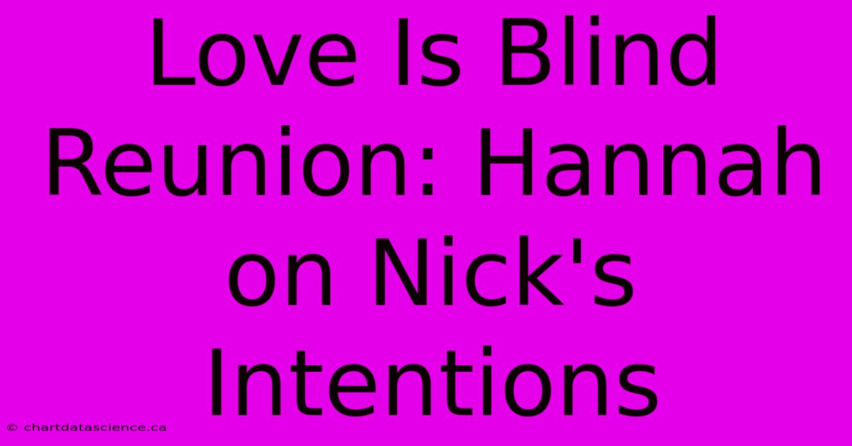 Love Is Blind Reunion: Hannah On Nick's Intentions