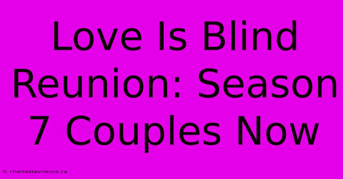 Love Is Blind Reunion: Season 7 Couples Now