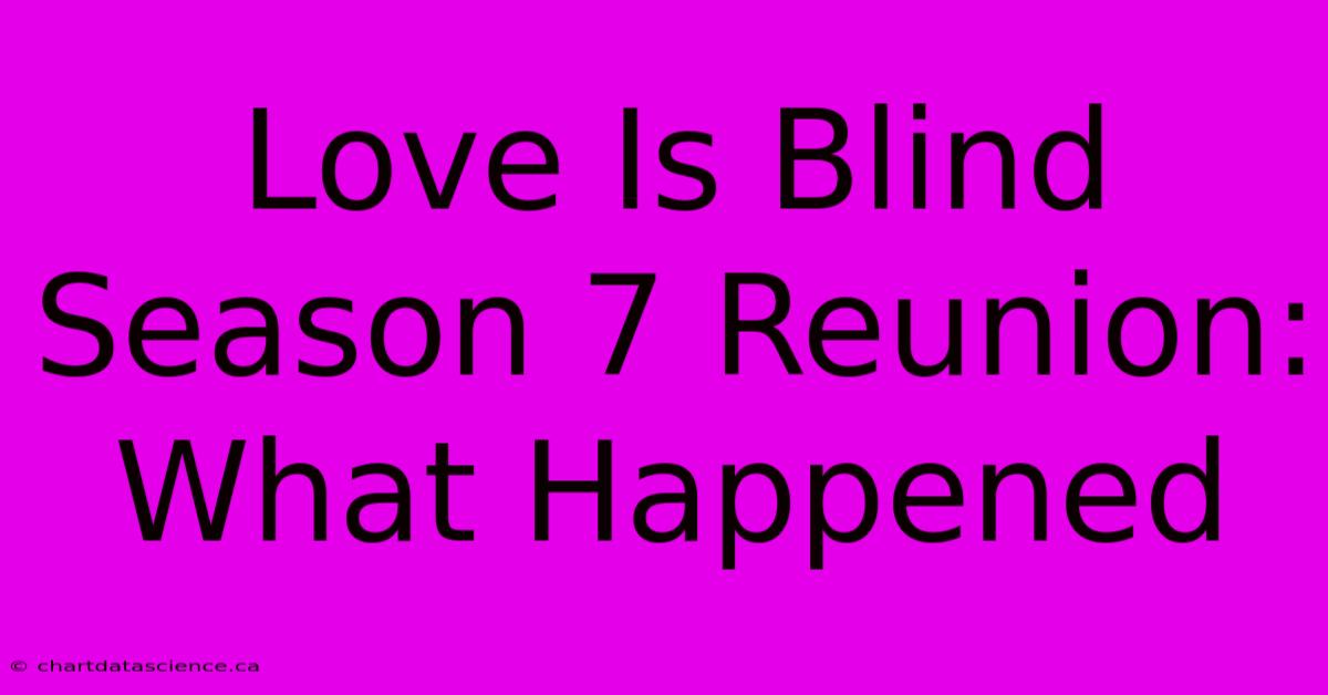 Love Is Blind Season 7 Reunion: What Happened 