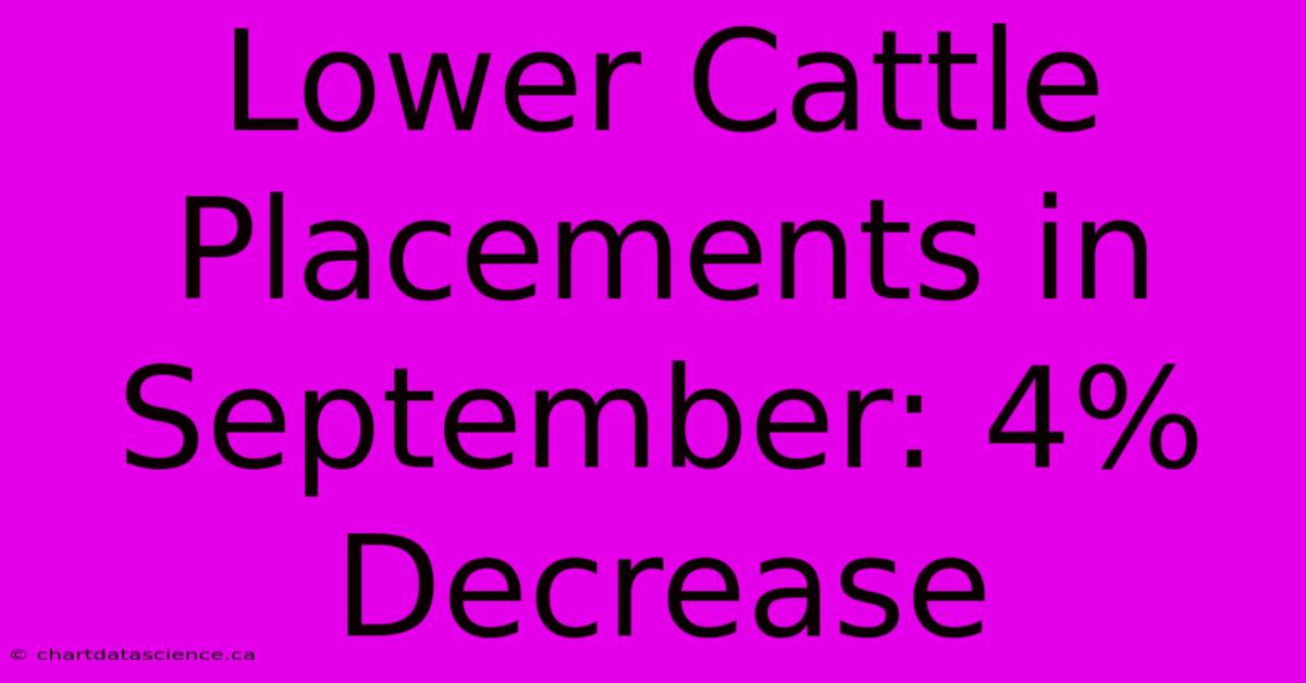 Lower Cattle Placements In September: 4% Decrease 