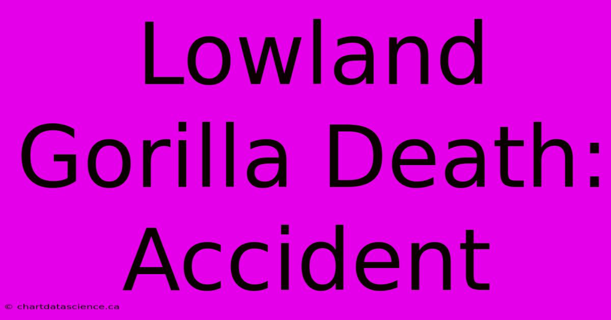 Lowland Gorilla Death: Accident