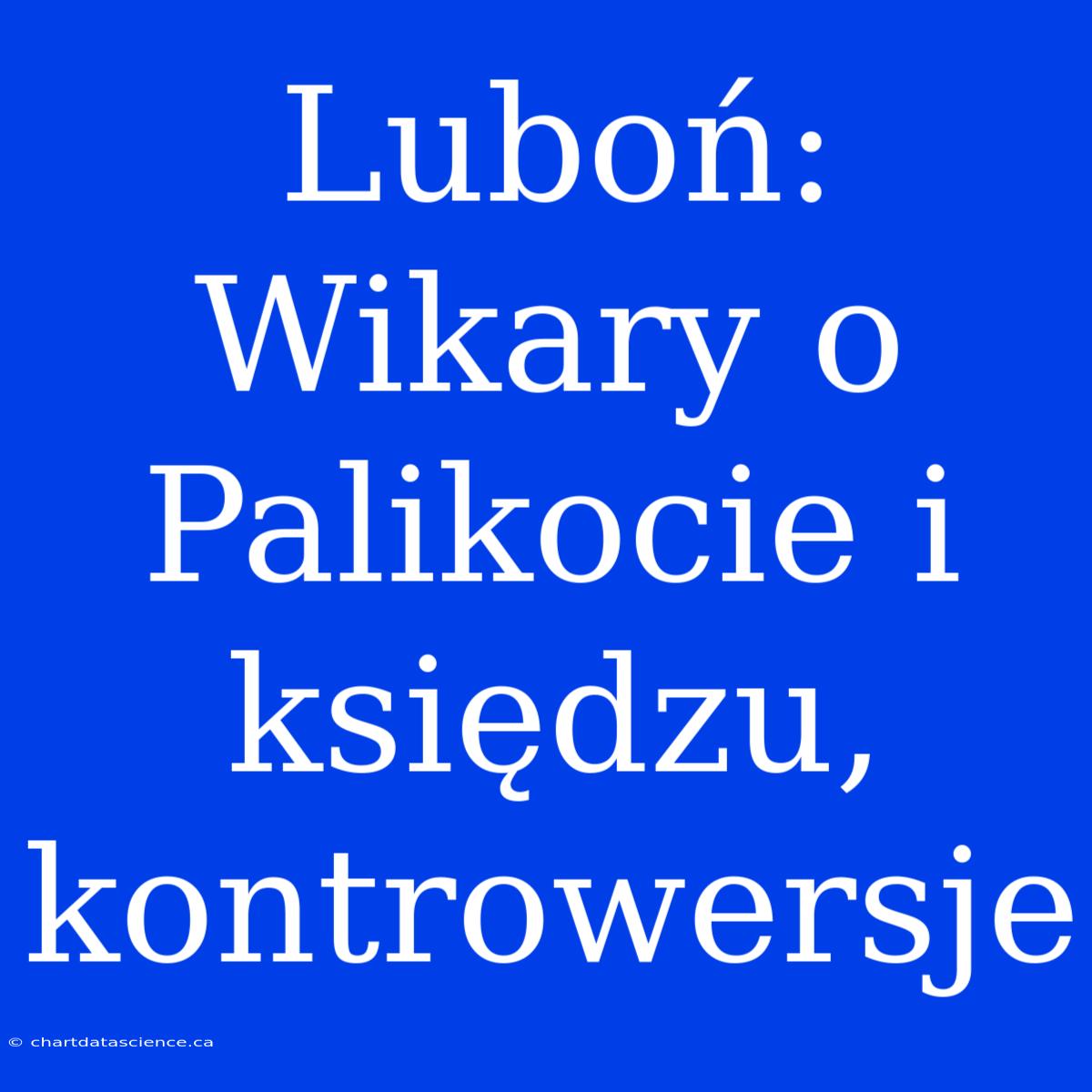 Luboń: Wikary O Palikocie I Księdzu, Kontrowersje