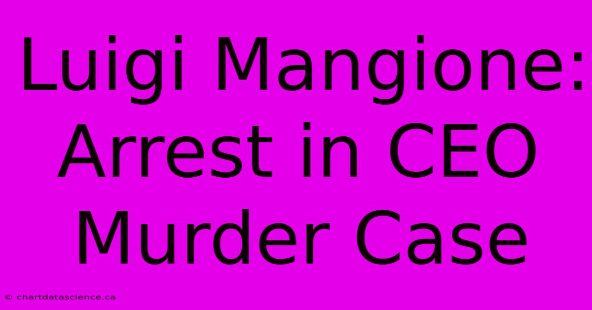 Luigi Mangione: Arrest In CEO Murder Case