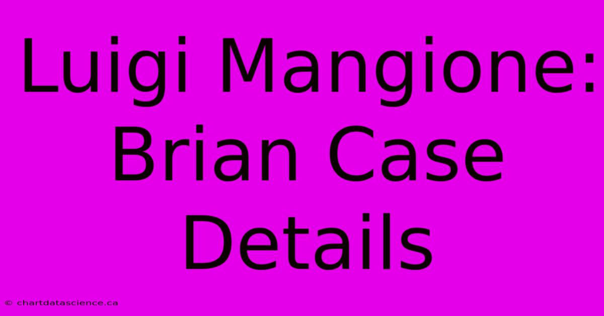 Luigi Mangione: Brian Case Details