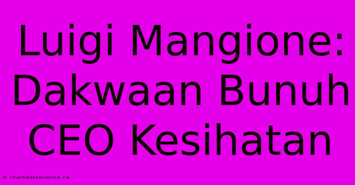 Luigi Mangione: Dakwaan Bunuh CEO Kesihatan