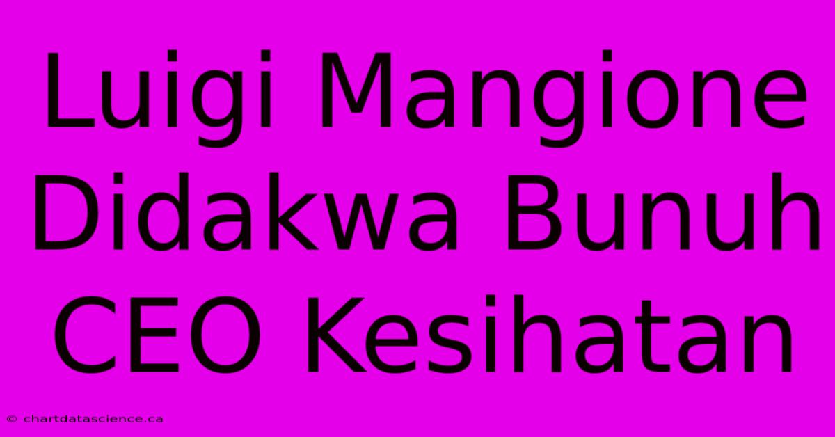 Luigi Mangione Didakwa Bunuh CEO Kesihatan