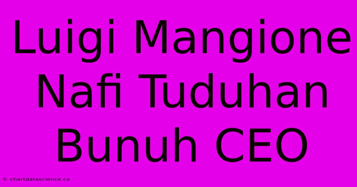 Luigi Mangione Nafi Tuduhan Bunuh CEO