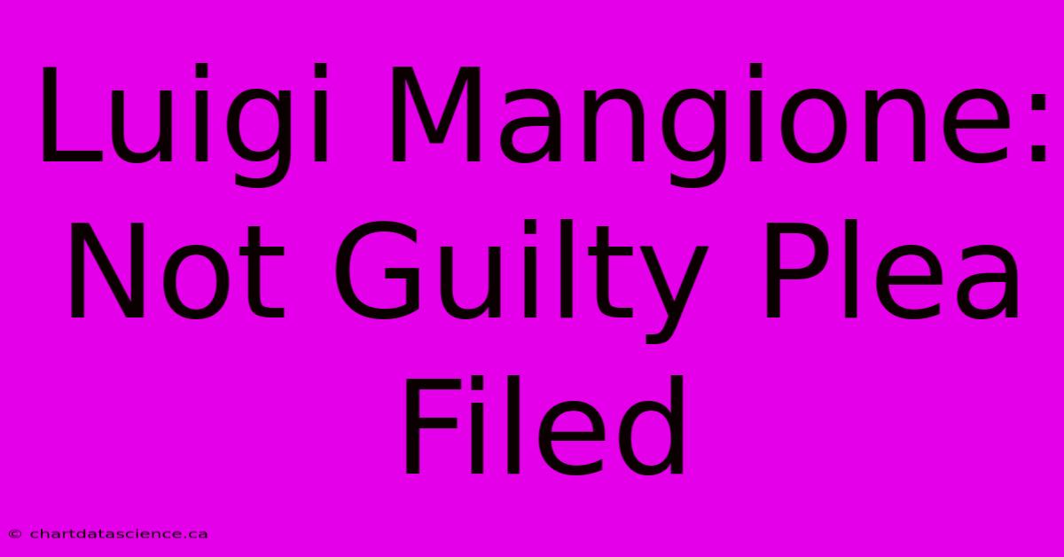 Luigi Mangione: Not Guilty Plea Filed