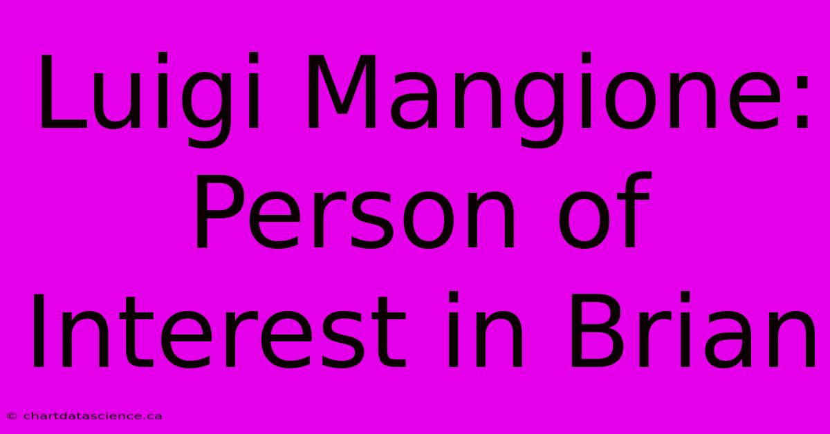 Luigi Mangione: Person Of Interest In Brian