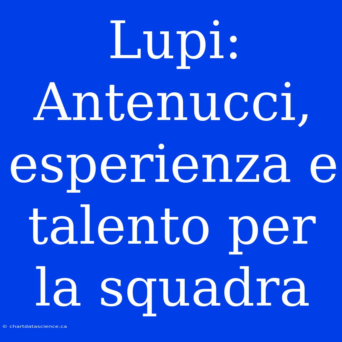 Lupi: Antenucci, Esperienza E Talento Per La Squadra