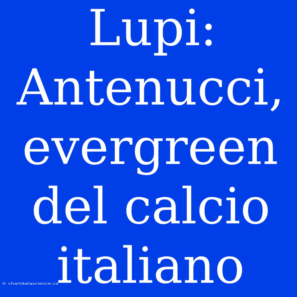 Lupi: Antenucci, Evergreen Del Calcio Italiano