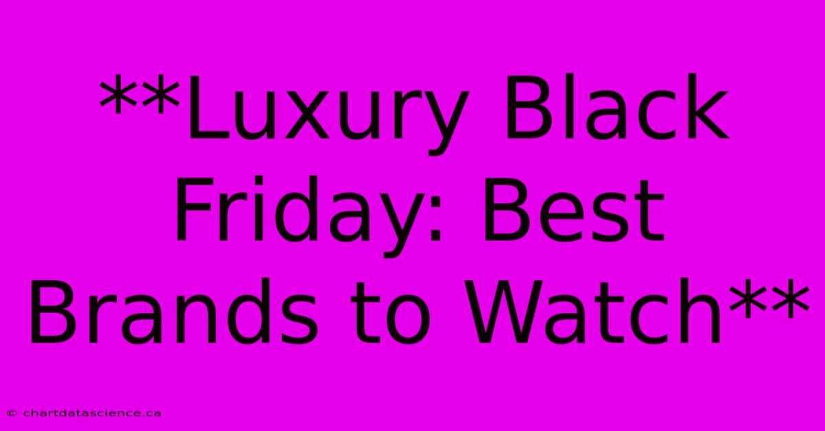 **Luxury Black Friday: Best Brands To Watch**