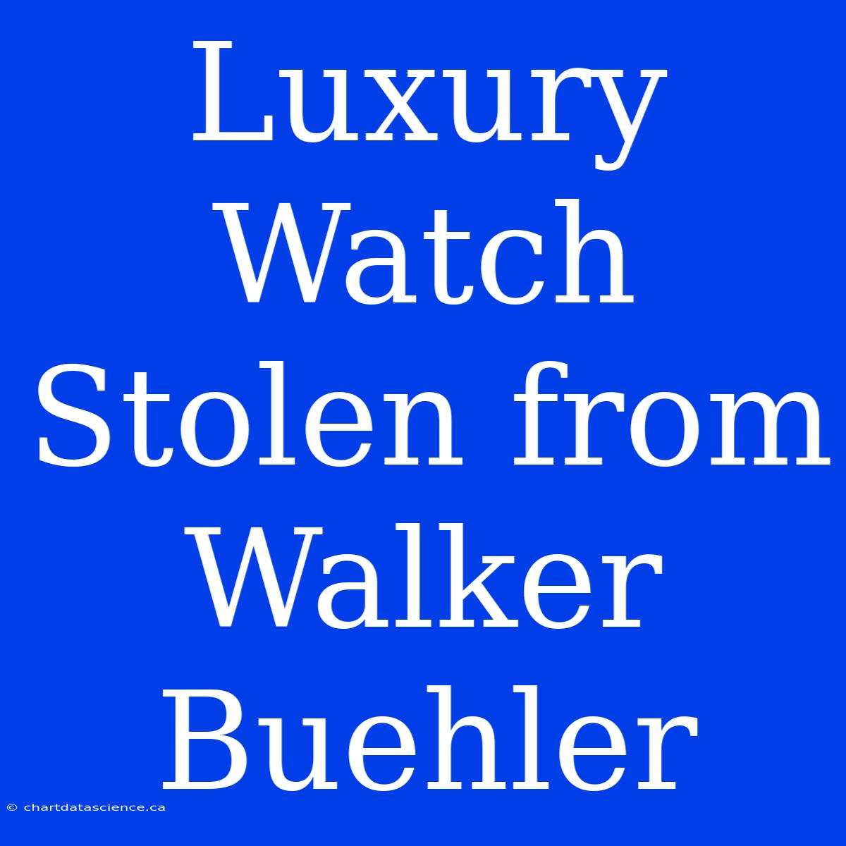 Luxury Watch Stolen From Walker Buehler