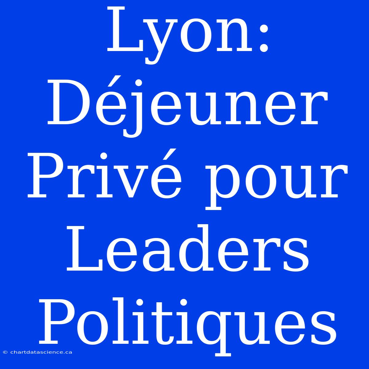 Lyon: Déjeuner Privé Pour Leaders Politiques