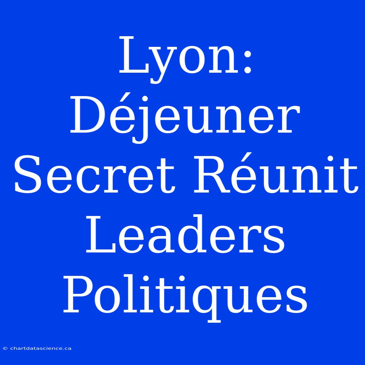 Lyon: Déjeuner Secret Réunit Leaders Politiques