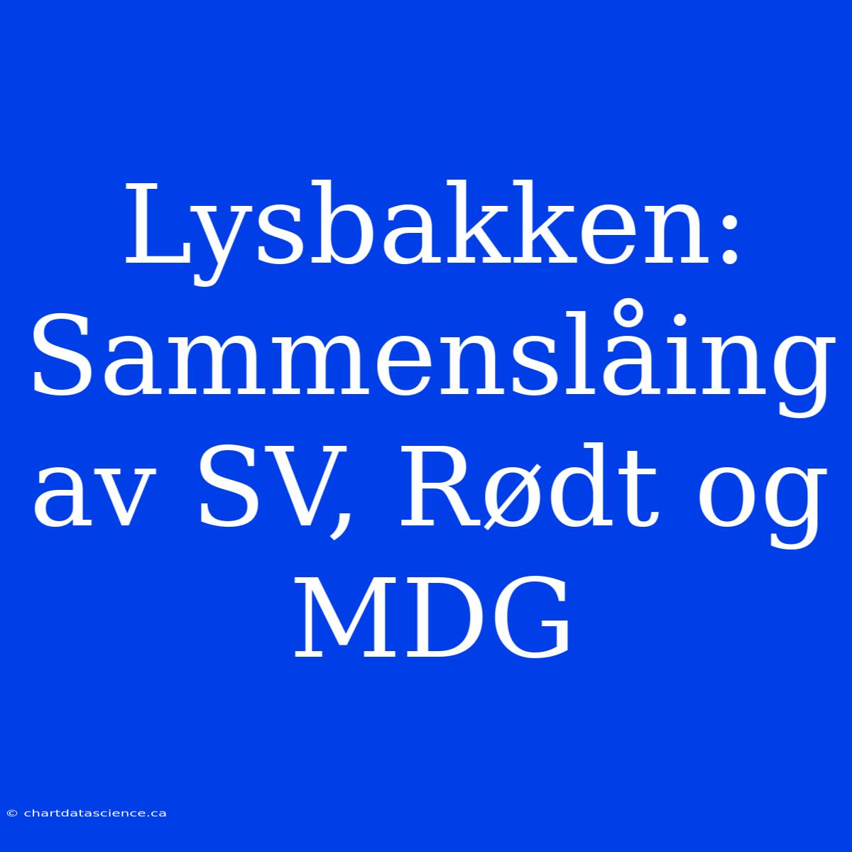 Lysbakken: Sammenslåing Av SV, Rødt Og MDG