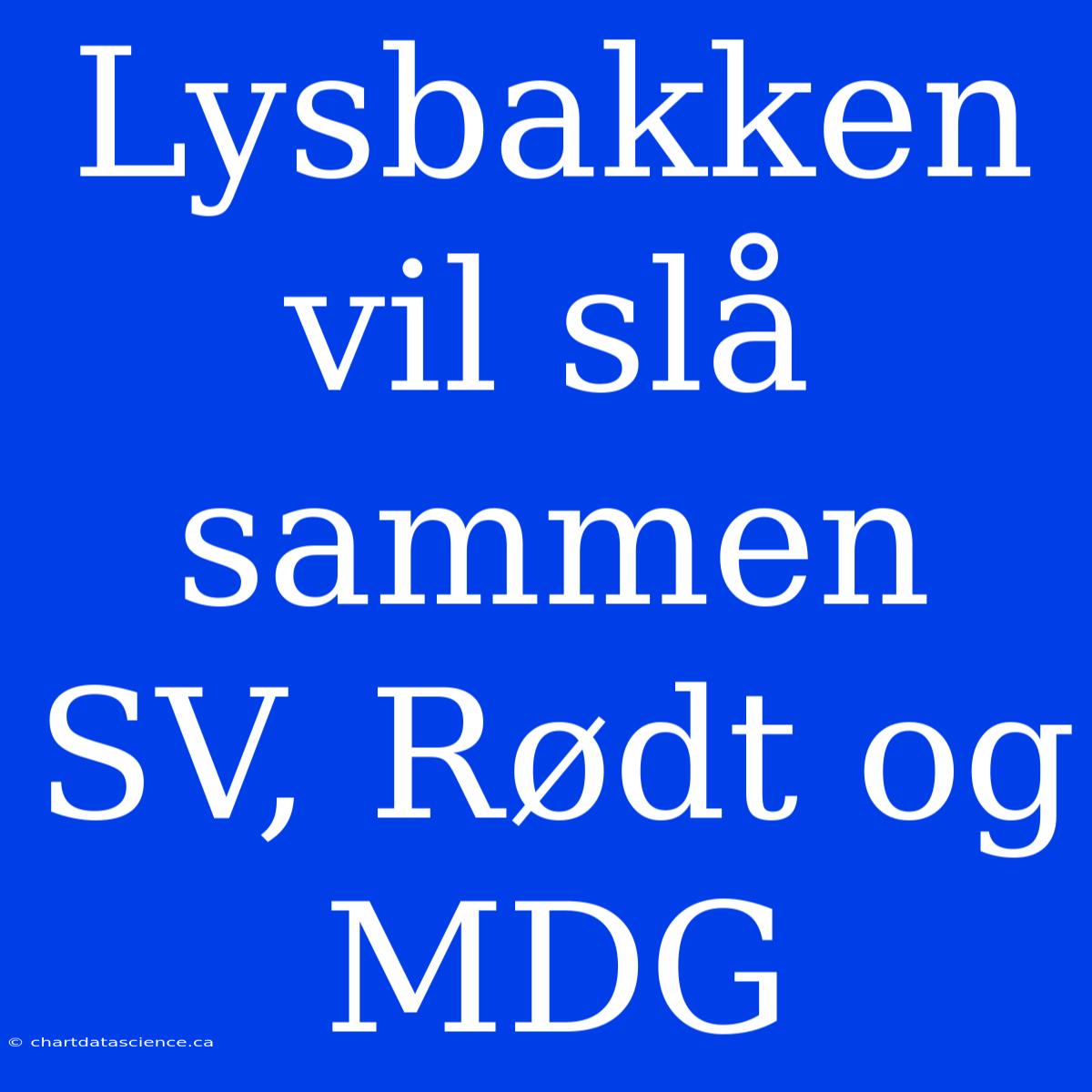 Lysbakken Vil Slå Sammen SV, Rødt Og MDG