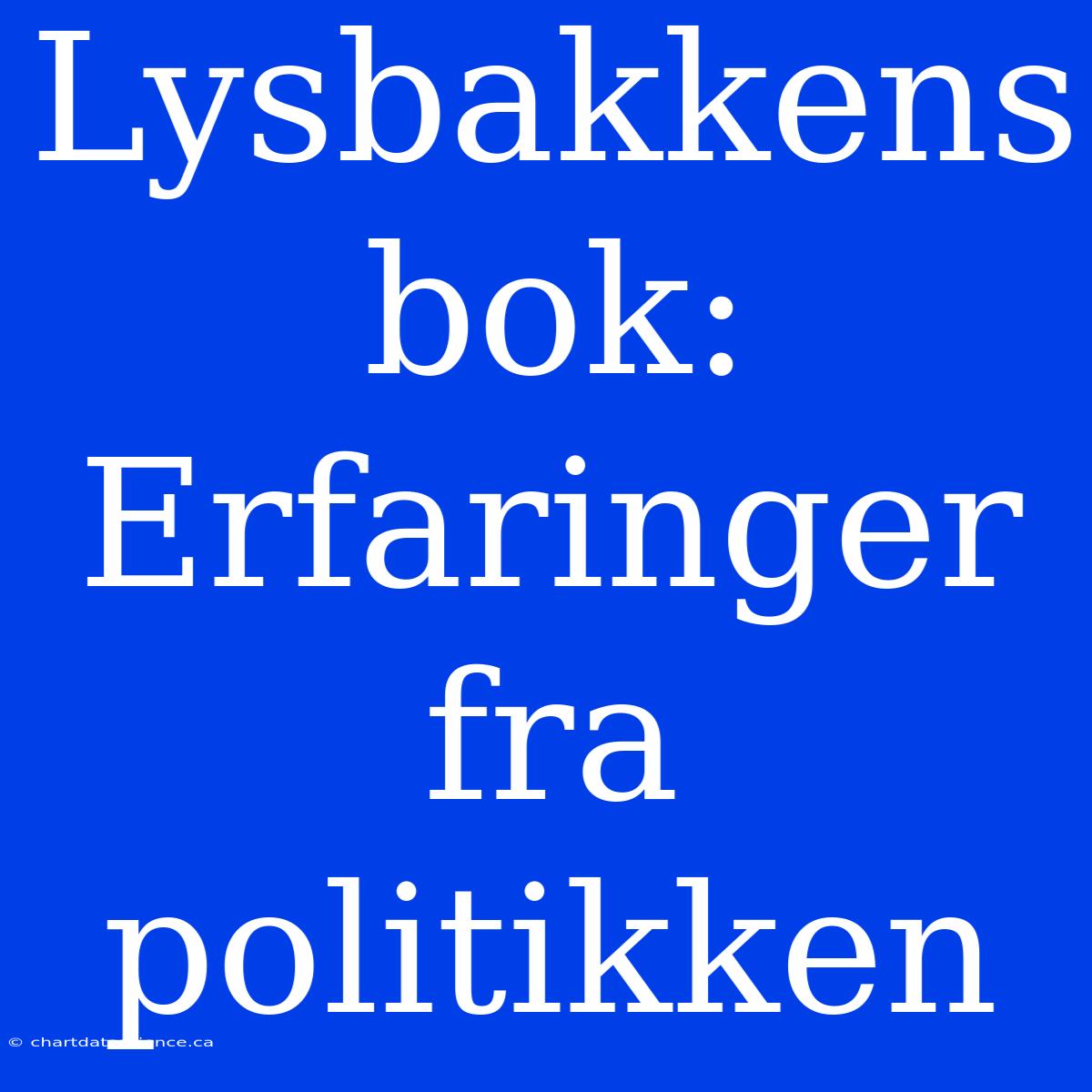 Lysbakkens Bok: Erfaringer Fra Politikken