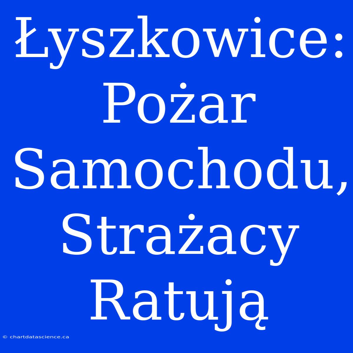 Łyszkowice: Pożar Samochodu, Strażacy Ratują