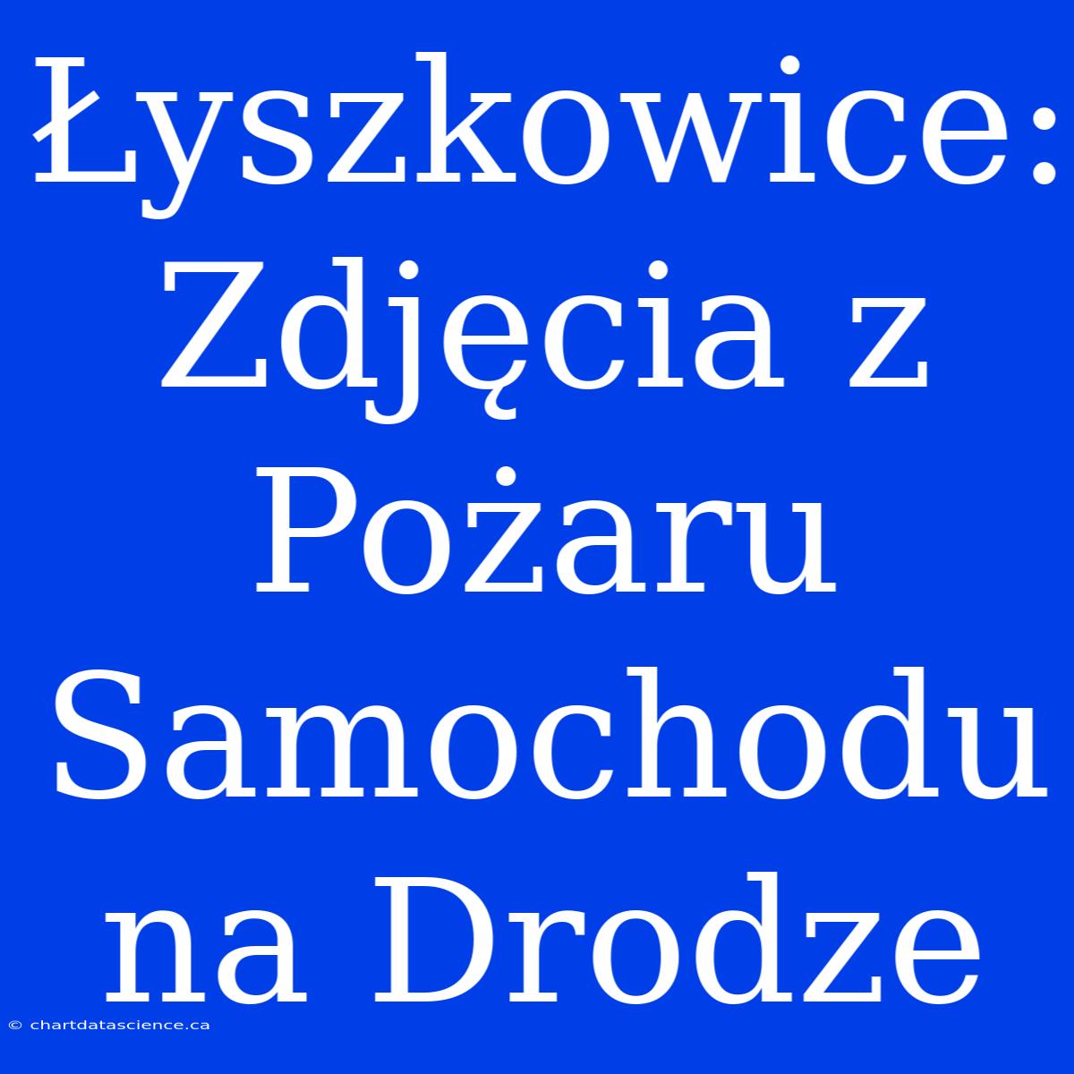 Łyszkowice: Zdjęcia Z Pożaru Samochodu Na Drodze