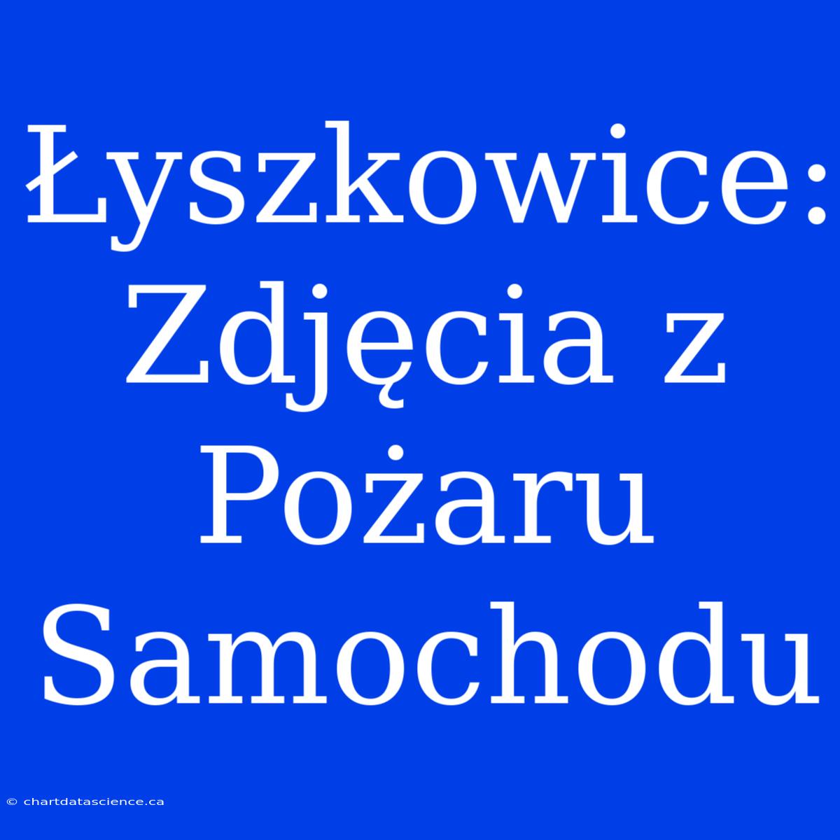 Łyszkowice: Zdjęcia Z Pożaru Samochodu