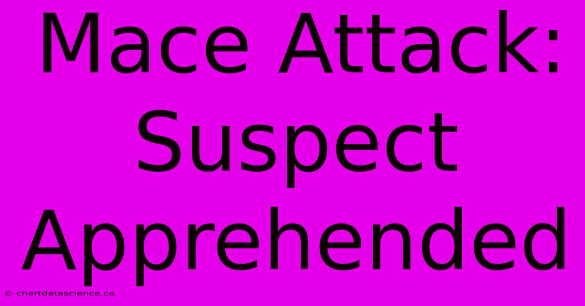 Mace Attack: Suspect Apprehended