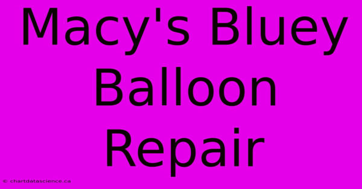 Macy's Bluey Balloon Repair