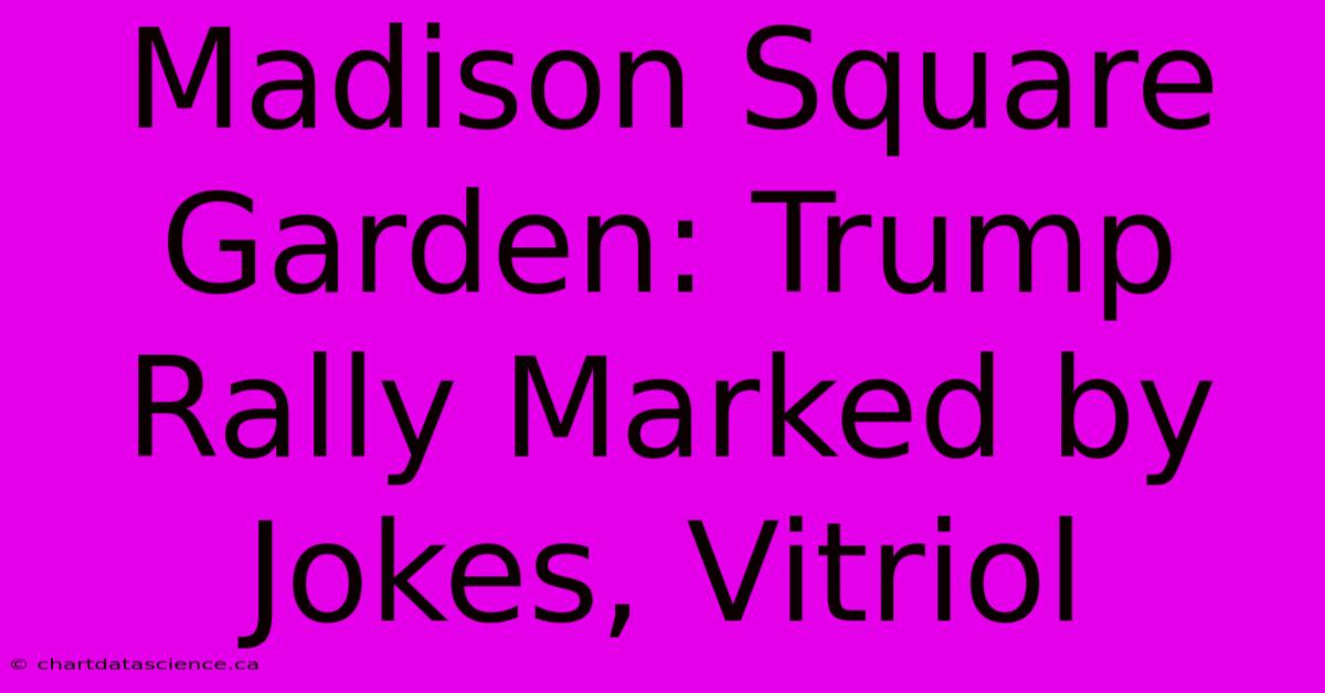 Madison Square Garden: Trump Rally Marked By Jokes, Vitriol