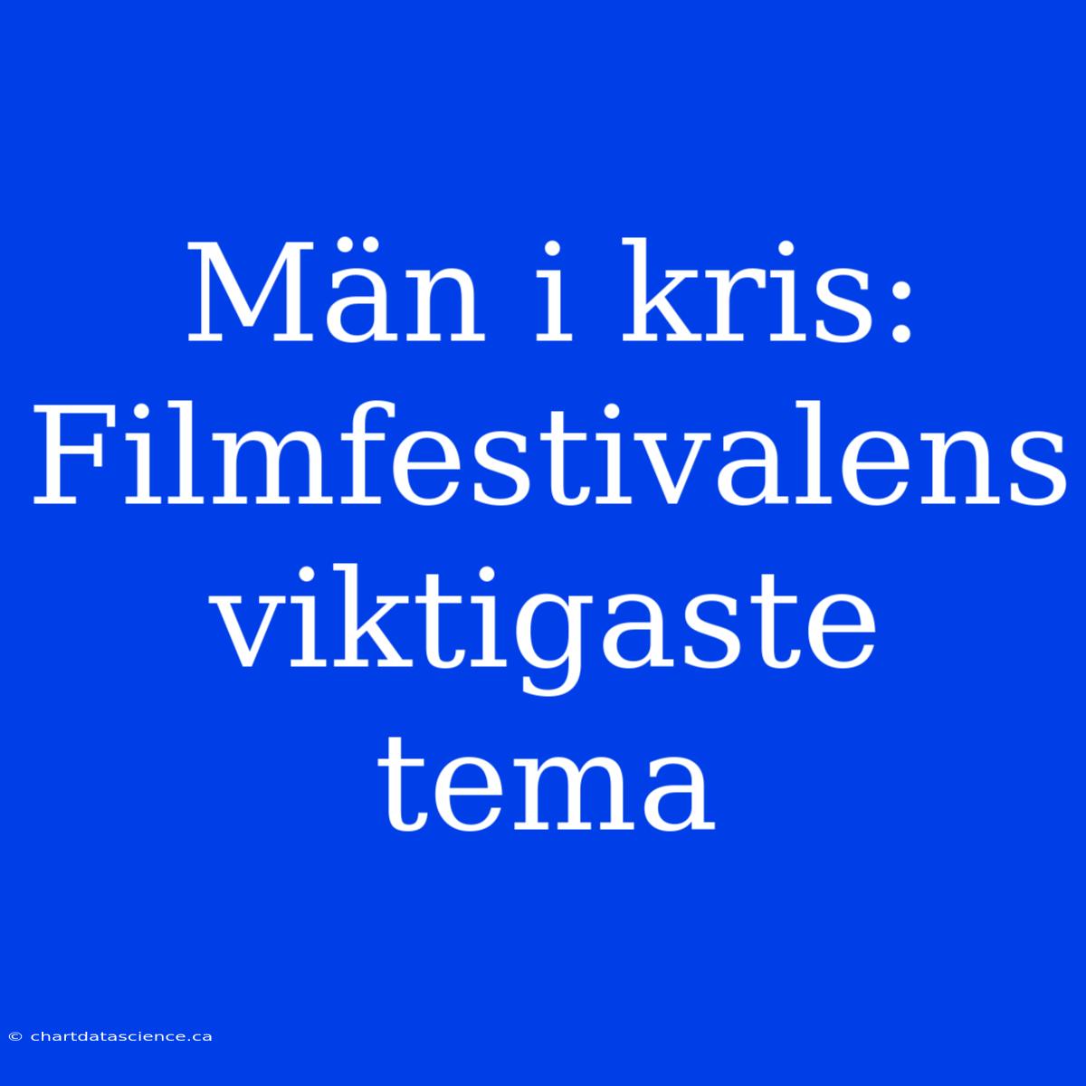 Män I Kris: Filmfestivalens Viktigaste Tema