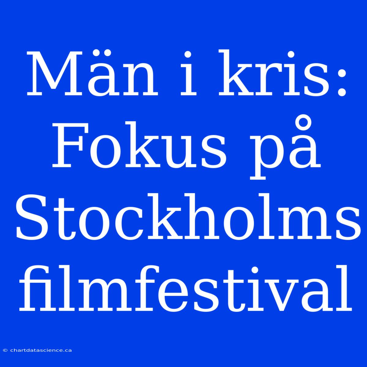 Män I Kris: Fokus På Stockholms Filmfestival