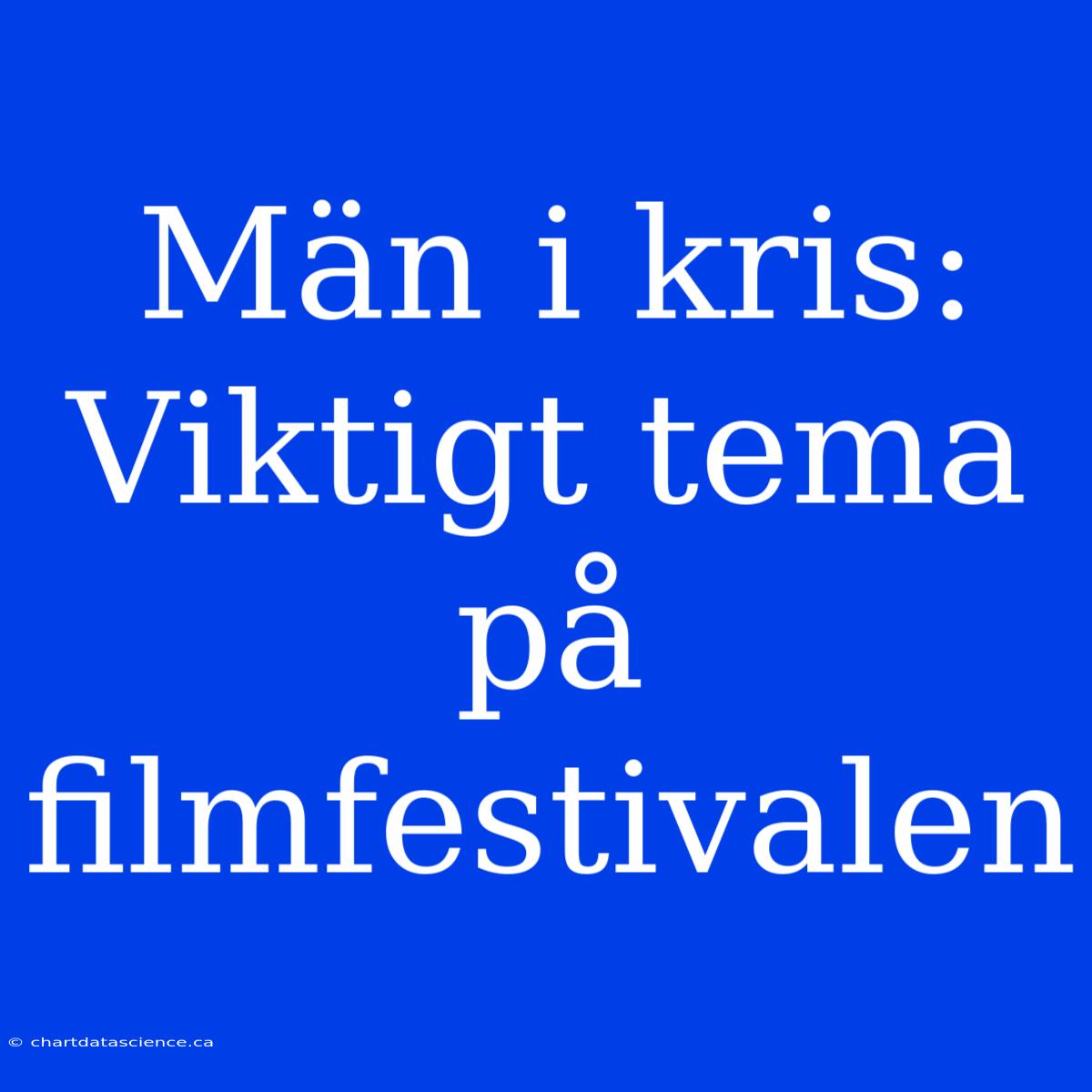 Män I Kris: Viktigt Tema På Filmfestivalen