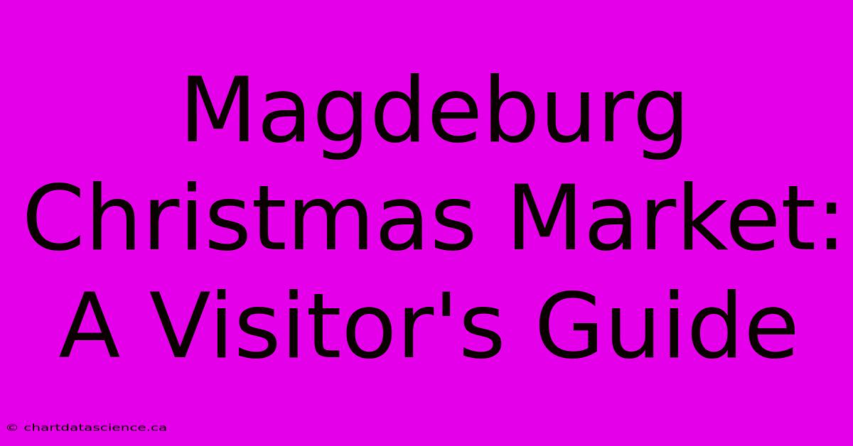 Magdeburg Christmas Market: A Visitor's Guide