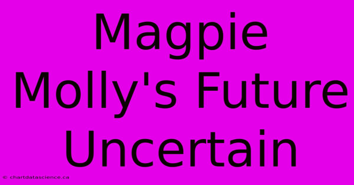 Magpie Molly's Future Uncertain