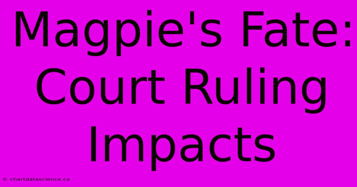 Magpie's Fate: Court Ruling Impacts