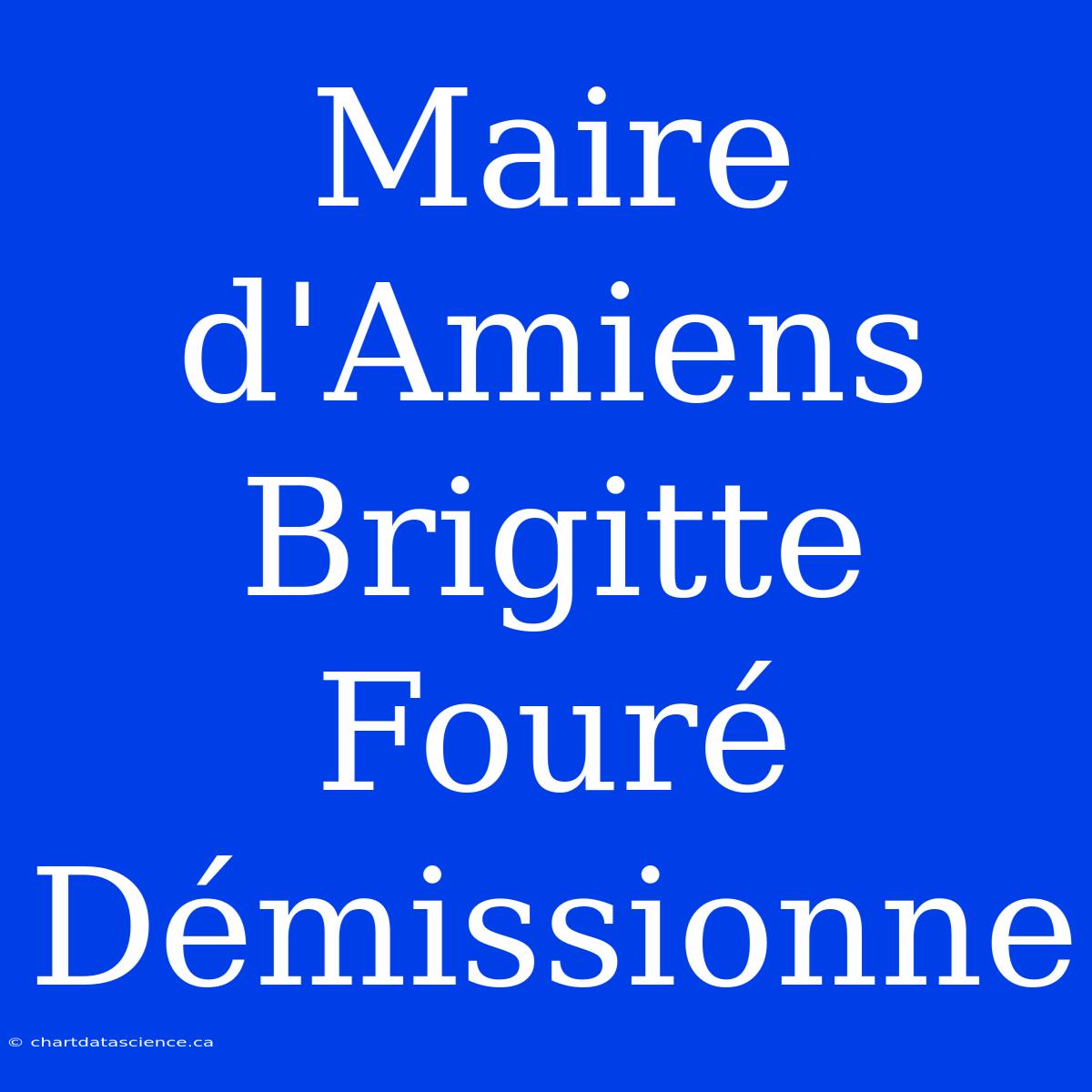 Maire D'Amiens Brigitte Fouré Démissionne