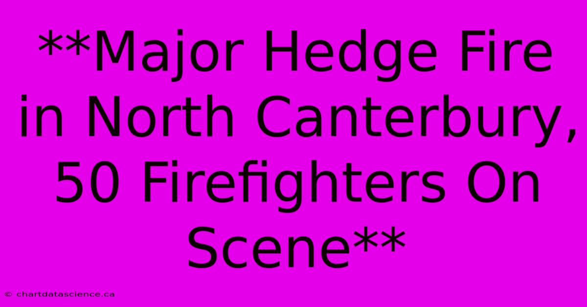 **Major Hedge Fire In North Canterbury, 50 Firefighters On Scene**