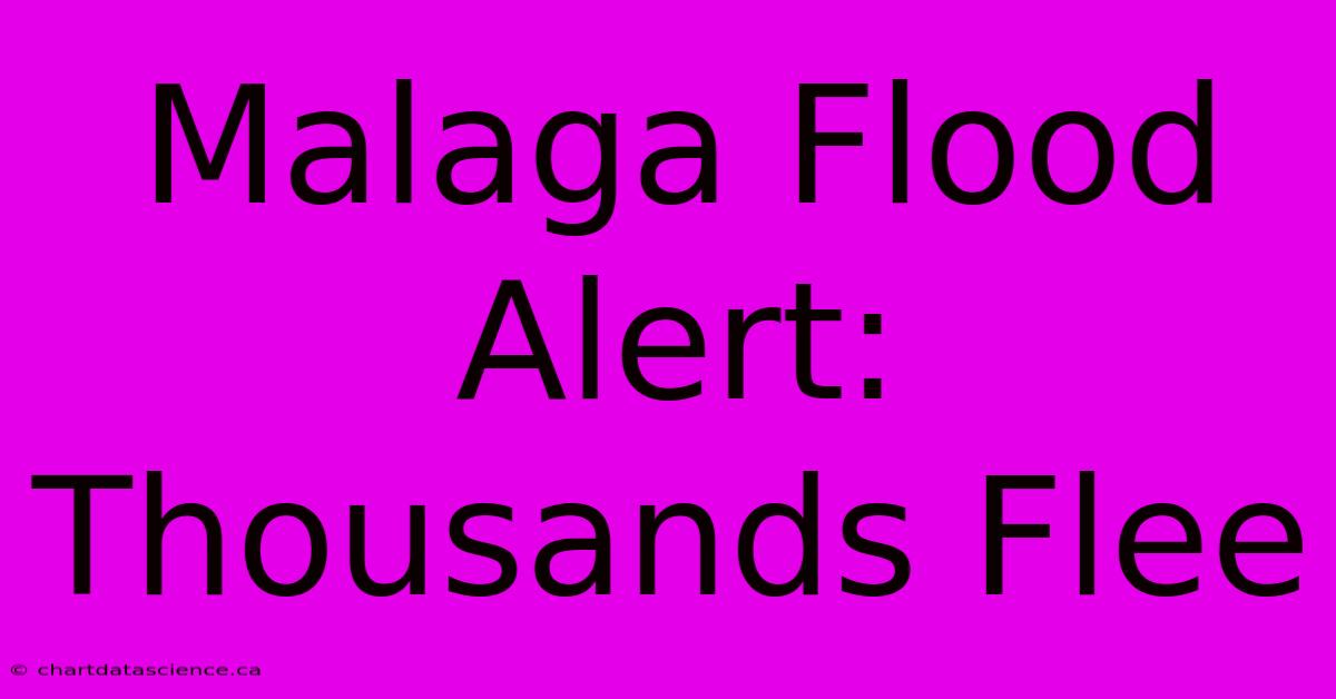 Malaga Flood Alert: Thousands Flee