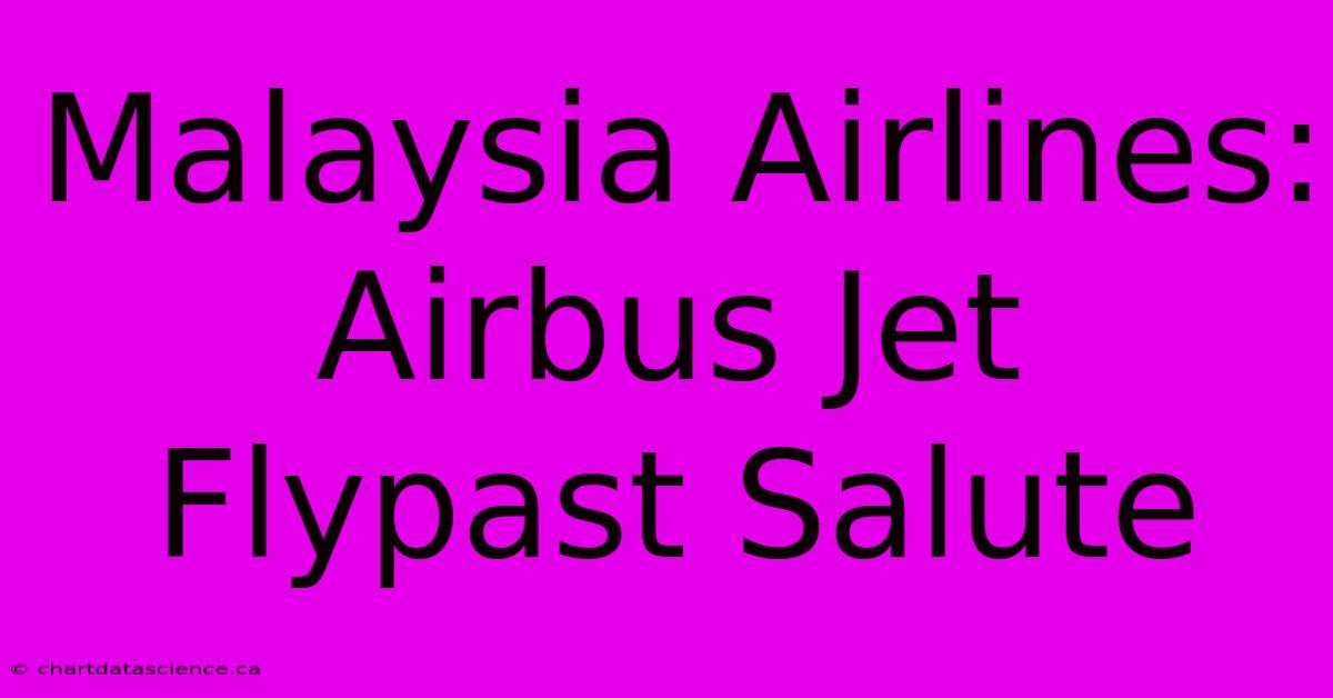 Malaysia Airlines: Airbus Jet Flypast Salute