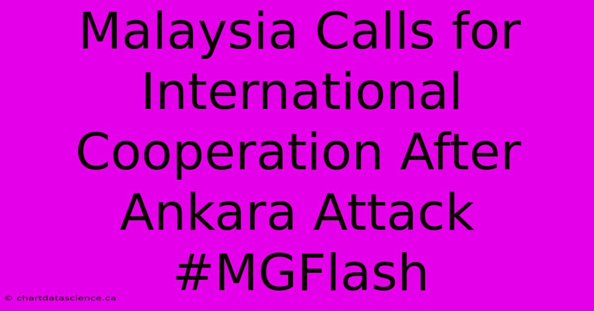 Malaysia Calls For International Cooperation After Ankara Attack #MGFlash